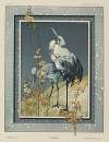 Fantaisies décoratives Pl.43