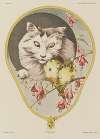 Fantaisies décoratives Pl.46