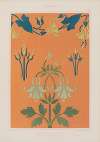 Guirlande & fleurons, Liseron, boutons, ancolie