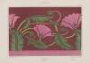 Bordure, pavot