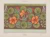Bordure, capucine