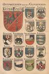 Die Wappen und Siegel der deutschen Stadte, Flecken und Dorfer Pl.08