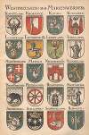 Die Wappen und Siegel der deutschen Stadte, Flecken und Dorfer Pl.11