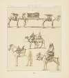 Les montures et les animamaux de transport;  le Touareg, une femme égyptienne en costume de ville