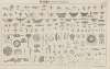 Atlas der Abbildungen Pierer’s Universal Lexikon Pl.18