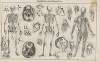 Atlas der Abbildungen Pierer’s Universal Lexikon Pl.21