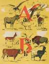L’A. B. C. par les images Pl.02