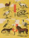 L’A. B. C. par les images Pl.06
