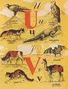 L’A. B. C. par les images Pl.12