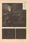 Bilder-Atlas der Sternenwelt. Eine Astronomie für jedermann Pl.29