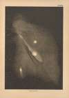 Bilder-Atlas der Sternenwelt. Eine Astronomie für jedermann Pl.33