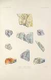 Collection Julien Gréau. Verrerie antique, émaillerie et poterie appartenant à M. John Pierpont Morgan Pl.53