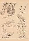 ABC Pl.22