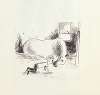 Paul’s Horse Herman Pl.03