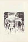 Paul’s Horse Herman Pl.07