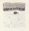 Paul’s Horse Herman Pl.12
