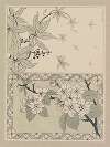 Compositions ornementales pour le cuir et la pyrogravure Pl.22