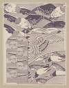 Compositions ornementales pour le cuir et la pyrogravure Pl.24