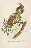 Alms House Bird