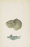 Monuments antiques dessinés Pl.001