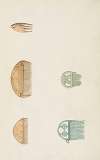Monuments antiques dessinés Pl.171