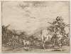 French Battle