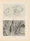 Ekade Ektab die Felsbilder Fezzans Pl.15