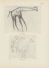 Ekade Ektab die Felsbilder Fezzans Pl.19