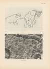 Ekade Ektab die Felsbilder Fezzans Pl.22