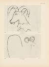 Ekade Ektab die Felsbilder Fezzans Pl.31