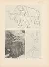 Ekade Ektab die Felsbilder Fezzans Pl.63