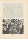 Ekade Ektab die Felsbilder Fezzans Pl.64