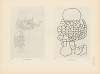 Ekade Ektab die Felsbilder Fezzans Pl.67