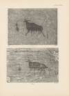 Ekade Ektab die Felsbilder Fezzans Pl.71