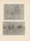 Ekade Ektab die Felsbilder Fezzans Pl.73
