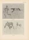 Ekade Ektab die Felsbilder Fezzans Pl.75