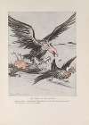 Eagle in Hen-run