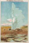 Heiße Springquelle (Geysir) mit Sinterterrassen