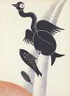 The bird from the waterfall