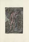 Milton, a poem in 2 books Pl.01