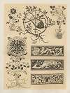Allegories and Emblems Pl.109