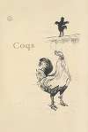 Coqs