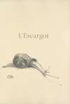 L’Escargot