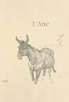 L’Ane