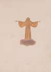 Spectropia; or, Surprising spectral illusions; Showing ghosts everywhere, and of any colour Pl.07