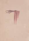 Spectropia; or, Surprising spectral illusions; Showing ghosts everywhere, and of any colour Pl.09