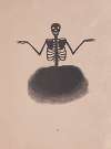 Spectropia; or, Surprising spectral illusions; Showing ghosts everywhere, and of any colour Pl.12