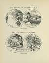 The Season Of Inconsistency; The Vagaries Of Science