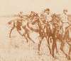Le Jockey