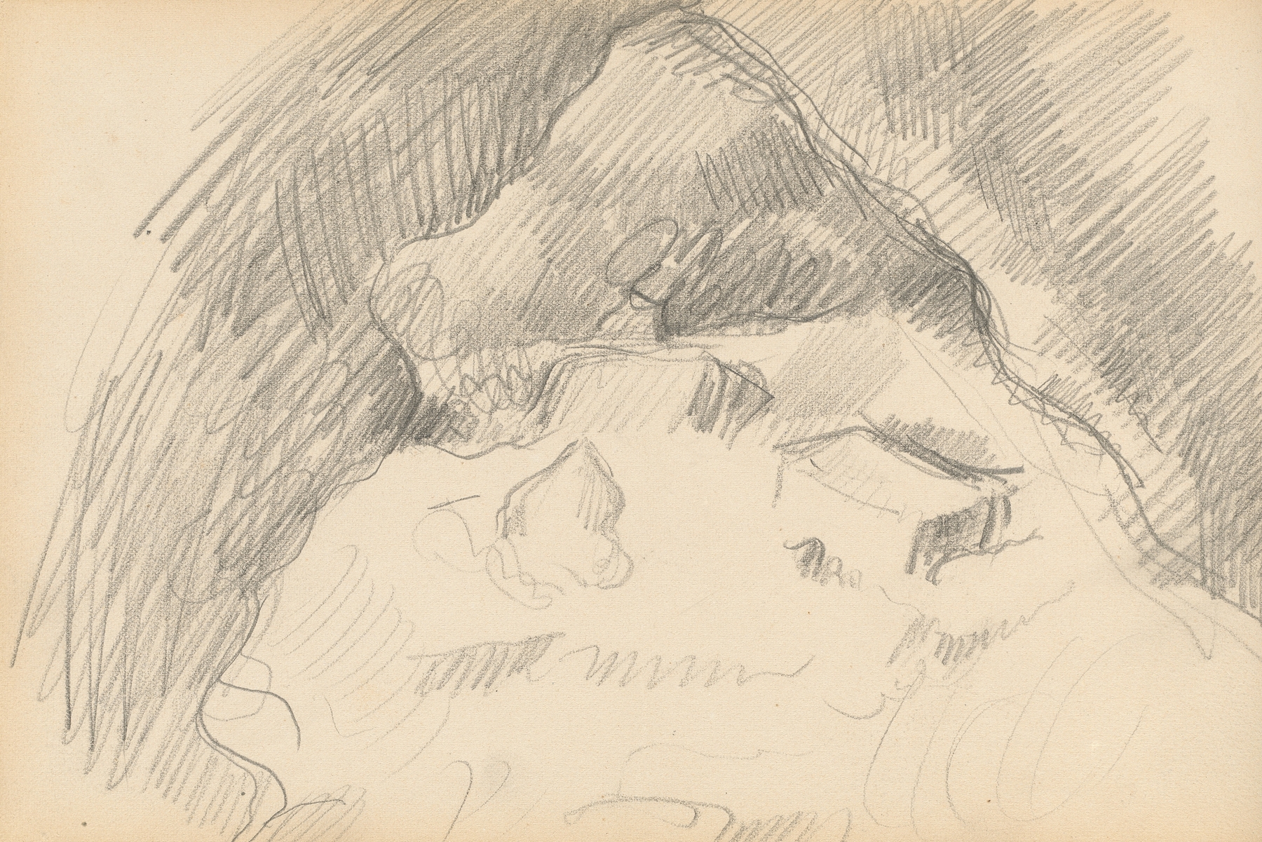 Landscape Seen from the Inside of a Cave (1889-1892)